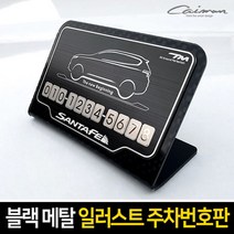 블랙메탈 일러스트 주차번호판, 르다비디앙 현대-아이오닉