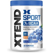 싸이베이션 XTEND 스포츠 BCAA 파우더 블루 라즈베리 아이스