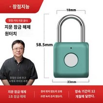 스마트 전자 잠금 도난 방지 지문 자물쇠, 그린 (20개 지문 가능)