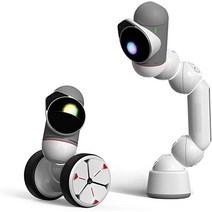 Clicbot Coding Robot Kits 어린이를위한 STEM STEM STEM 교육 장난감 원격 제어 블록으로 프로그래밍을위한 교육 완구 8 ＋ (스타터 키트)