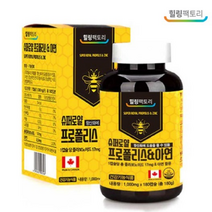 환절기비염 알러지비염 영양제 그린 프로폴리스 6개월분 슈퍼로얄 항산화 플라보노이드