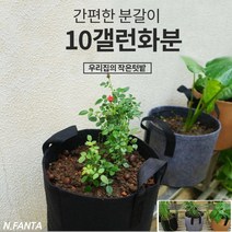부직포 화분 식물 고구마 모종 키우기 10갤런 40x30 블루베리 고구마 감자 모종 키우기 베란다 텃밭 흙 담기 화분, 3화분10갤런-브라운