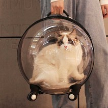 고양이 강아지 캐리어 투명 이동장 대형 이동가방, 갈색  + 푹신한 쿠션 증정
