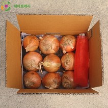 [당일출고-23년 햇양파] 대아 황토 햇양파 3kg 5kg 10kg 무안 창녕 함양양파, 햇양파 대 10kg