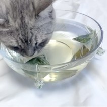 고양이 캣닢 티백 팜웨이 캣잎 장난감 음수량 늘리기 개박하, 1개, 캣닢티백