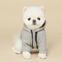 몰티즈 웰시코기 외출 후드티 애견 옷 중대형견옷, 1개, SM