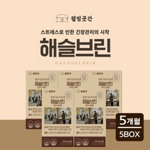 예민한 뇌 두뇌 스트레스 긴장 압박 불안 초조 할때 먹는 마음 해소 관리 홍삼 테아닌 복합 건강 기능 식품, 5BOX(5개월분), 1000mg