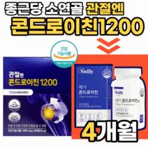 관절엔 콘드로이친 1200 소연골 상어연골 콘트로이친 콘토로이친 콘트라친 콘드로이 콘드론친 콩드로이친 콘드루이친 콘드라틴 콘트론 50대 60대 관절 건강 부모님 선물 영양제, 옵션3. 메가콘드로이친 4박스 (4개월)