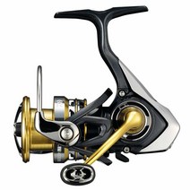 Daiwa 다이와 Exceler LT 5.3:1 Left/오른손잡이 회전 물고기ing Reel - EXLT3000D-C