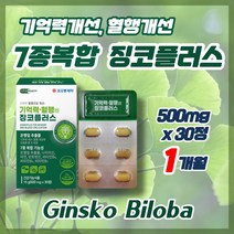 은행잎추출분말 혈행개선제 기억력개선 7종복합기능성 징코플러스 플라보놀배당체 징코빌로바, 1통 500mg x  30정  (33%할인), 1개