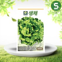 생채씨앗 2000립 아삭이 상추 씨앗 쌈채소 샐러드, 1개