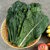 복천 케일 1kg, 없음, 상세설명 참조