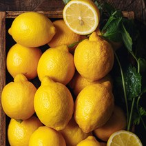 국내산 제주도 유기농 레몬 1kg 제주산 친환경, 1개