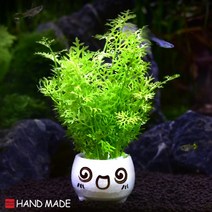 초보자도 키우기 쉬운 어항장식 포트수초 200종 모음, 114번) 표정토분 워터스트라이프