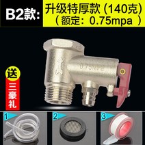 셰프 보배 전동 헬메의 AO 스미스 전기온수기 pressure relief valve 감압밸브 1939446577, B2 타입 :업그레이드 특 후한 돈