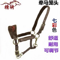 승마 용품 소품 말재갈 말머리 하네스 마방굴레, 컬러풀헤드 큰 둥근 L 큰 커피 색상, 1개