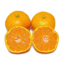 [제주의맛] 맛있는 제철 감귤 산지직송! 품질보장!, 감귤 소과(2S~S) 5kg