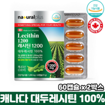 레시틴 1200 캡슐 식물성 인지질 식약처인증 순수 대두레시틴 100% 혈중 콜레스테롤 개선, 2박스, 60캡슐