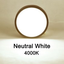 Led 통 스팟 천장 220v 표면 장착 패널 조명 5W 10W 15W 25W 미니 스포트 라이트 홈 주방 룸, [03] Natural White 4000K, [04] 25W, [02] White Body
