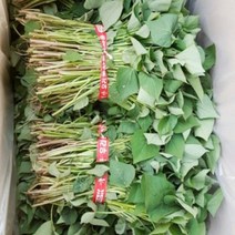 맛있는 농장 꿀고구마 모종 5kg, 5월 29일 도착