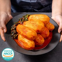 [식객명인] 전라도 총각김치 50년전통 김치맛집 100%국내산 알타리김치 당일생산 식객 허영만, 1개, 2kg