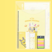 카카오프렌즈 A+ 문구세트 5800, 무지5800