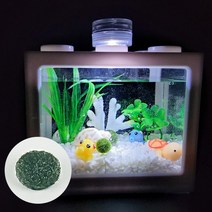 젠카 마리모키우기 마리모 1C 어항 키우기 세트 밥 먹이 만들기 키트 자갈 꾸미기 피규어, 블록 어항-조명, 2-4. 어항 그린 L