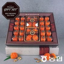 [농협] 고품격 장성 대봉 반건시 곶감 선물세트 특호 햇살