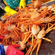수율좋은 포항구룡포홍게3kg 수율꽉찬 껍질얇은 자숙 프리미엄홍게