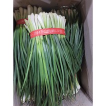 (꿈의그린) 국내산 깐쪽파 900g 내외 1단