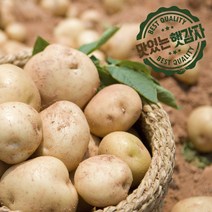 2023 햇 감자 국내산 3kg 5kg 10kg, 대