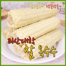 수확후바로삶은 괴산 대학찰옥수수 24개3개씩포장, 없음, 상세설명 참조