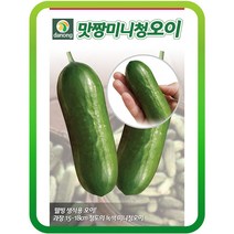 맛짱미니청오이씨앗 10립 청오이씨