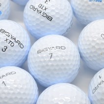 빅야드 화이트 A 등급 10알 골프용 로스트골프공