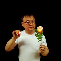 JL수업용불빛장미(JL LIGHT ROSE)(핑크) *딜라이트1개 포함*OEM직제조 장미마술*케이스포장, 상세페이지 참조, 상세페이지 참조, 상세페이지 참조
