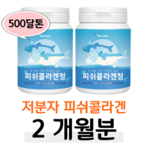저분자 피쉬 피시 콜라겐 생선 어류 물고기 단백질 콜라겐 500 달톤 분자량 분자크기 작은 정 타입 하루두알 70대 80대 할머니 노년층 장년 엄마 어머니 시어머니 장모님, 2개, 60정