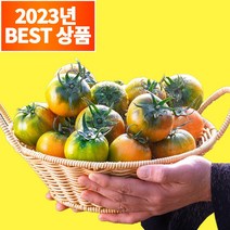 농수산특별시 당도보장 부산 대저 짭짤이 토마토, 2.5kg 대과 (L), 1박스
