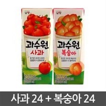남양 과수원 190m 사과24팩+복숭아24팩, 240팩