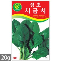 적작두콩 씨앗 10립 - 씨 작두콩씨앗 작두콩씨 작두콩 콩씨앗 콩씨 텃밭 주말농장, 08_섬초시금치(20g)