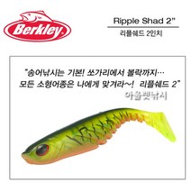버클리 파워베이트 리플쉐드 2인치, HGB