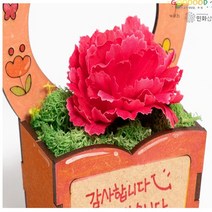 스칸디나비아 모스 카네이션 화분 만들기 세트, 우리집