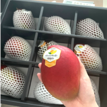 프리미엄 고당도 애플망고 4kg 태국망고 선물세트 100% 항공수입 망고선물세트 실속형 페루 대만 수입