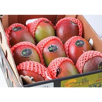 [당도선별] [직수입] 고당도 애플망고 2kg 4kg 8kg, 애플망고 4kg