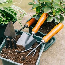 월드가드닝 원목 나무 손잡이 다용도 모종삽, 2개