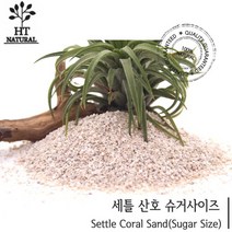 산호사 슈가사이즈 3.5kg, 1개