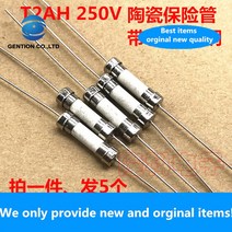 리드 와이어가 100% NEW 오리지널 T2AH250V 퓨즈 5 개 T2A 250V 세라믹 퓨즈 슬로우 블로우 5x20mm (5 개)