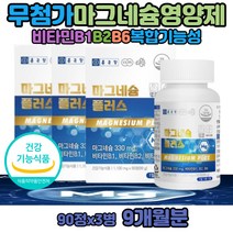 마그네슘부족증상 권장량 산화 마그네슘 제제 영양제 마그네비정 마그네슘의효능 아세틸콜린감소 마그네시움 비타민B6B1B2 근육 눈 손 떨림 마그슘 긴장이완 신경 아세틸콜린 감소 분해 이산화규소와 hpmc 없는 목넘김편한 마그네슘B