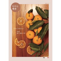 탐라는 제주:어떻게 여행할까요?, 귤귤, 북랩