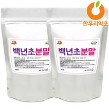 백년초 가루 600g 분말 선인장열매 효능, 백년초열매가루 600g