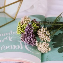 라이스플라워 프리저브드 도매, 10_레드